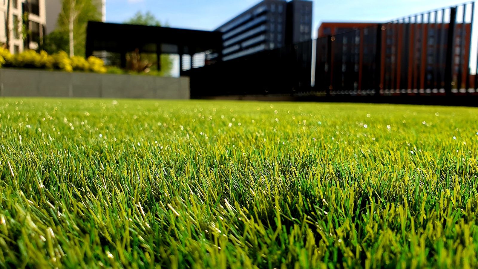 Lush green hydroseeded lawn in Moncton NB